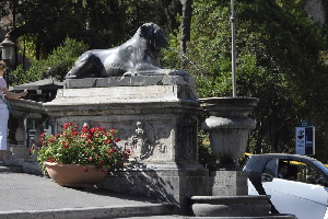 Campidoglio-Cordonata-Leone (4)