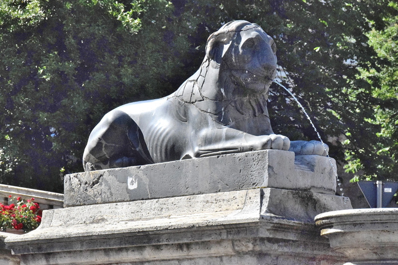 Campidoglio-Cordonata-Leone (5)