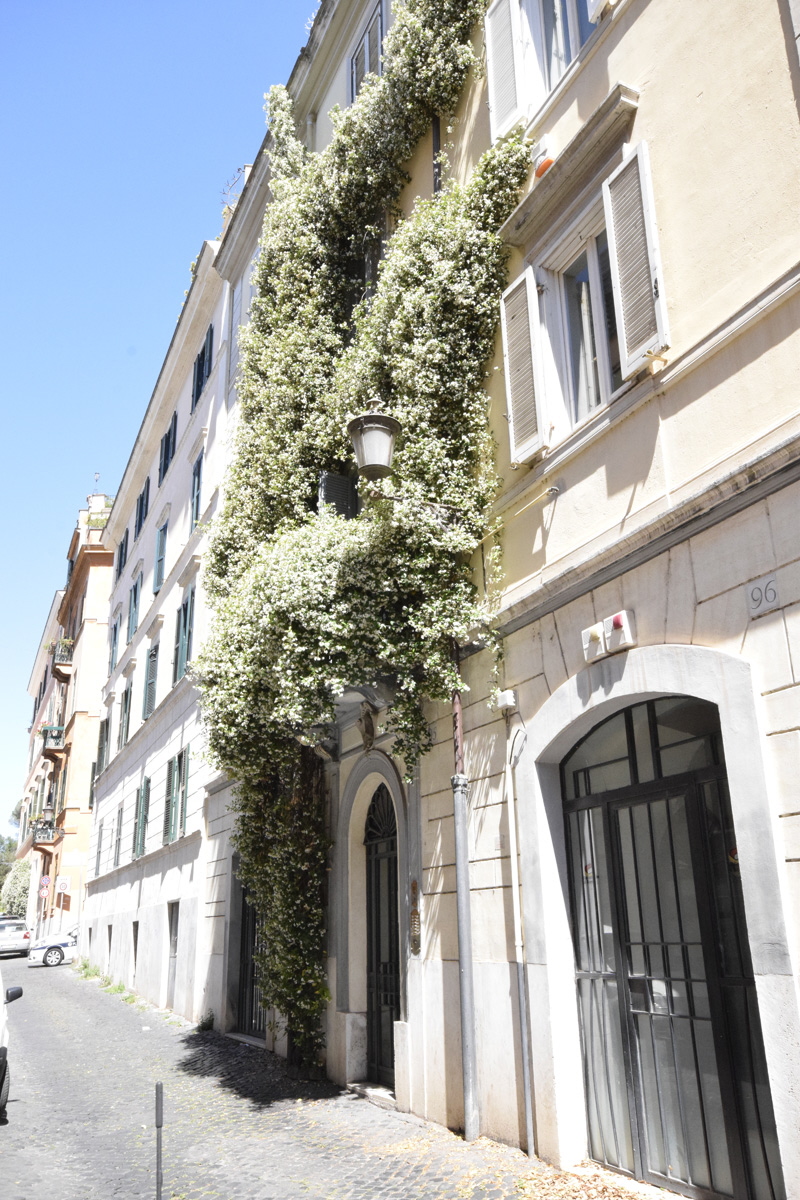 Via dei Fienili-Palazzo_al_n_95