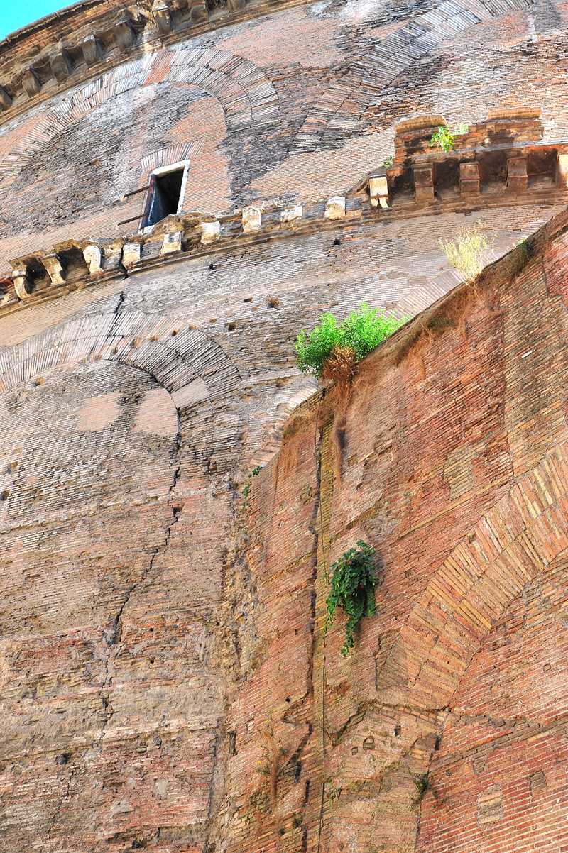 Via_della_Rotonda-Pantheon-Lato_esterno_sinistro (3)