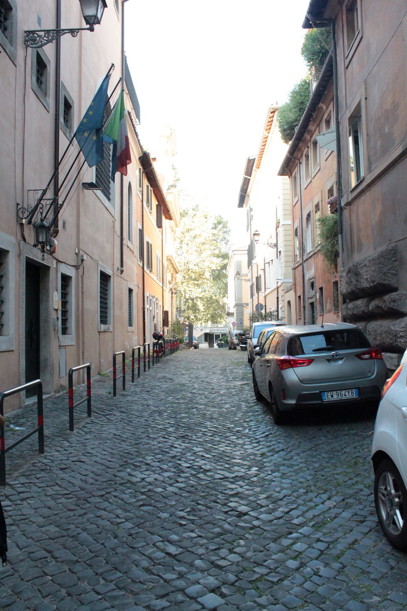 Via_del_Gonfalone (5)