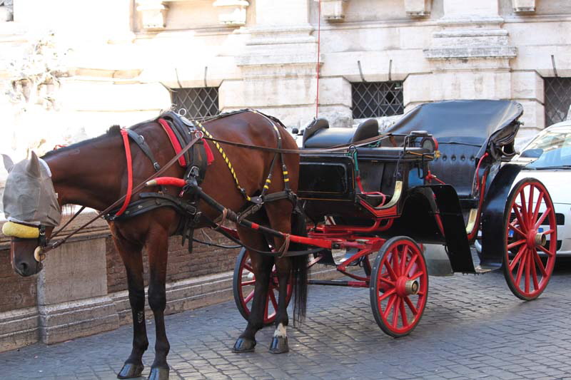 Piazza_di_Trevi-Carrozzella