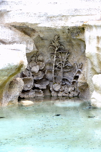 Piazza_di_Trevi-Fontana (13)