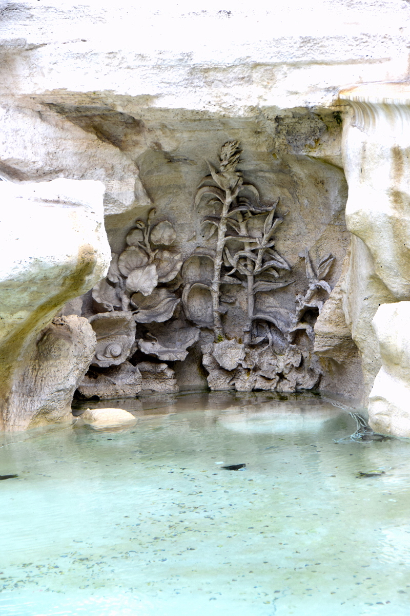 Piazza_di_Trevi-Fontana (13)